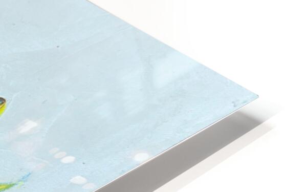 2744474 :: HD Sublimation Metal Print